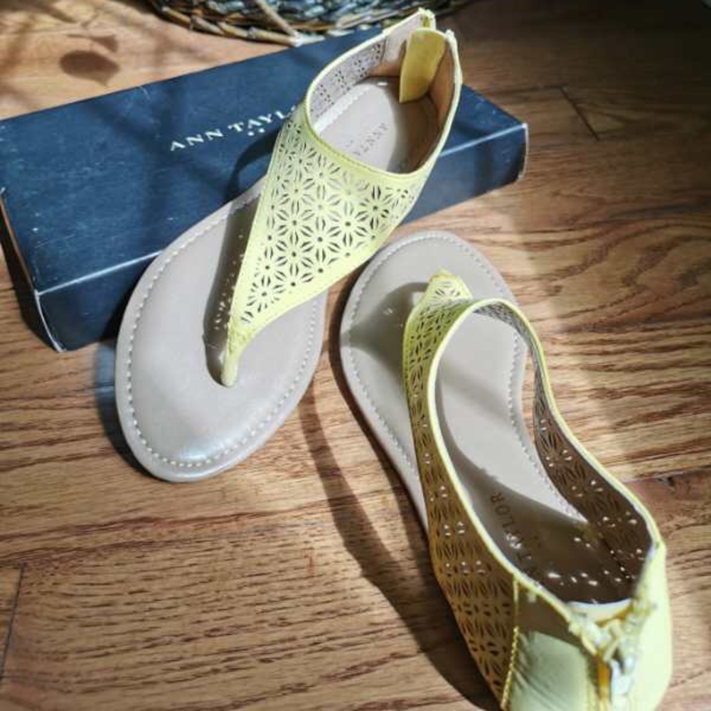 Brand new-Ann Taylor shoe 6.5 M